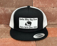 "Granddaddy" - CA6006 Black/White Mesh Trucker, Snapback (2024)