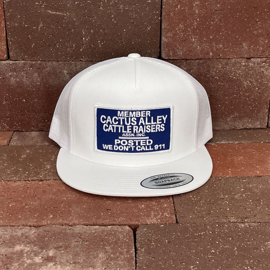 "POSTED" - 6006 White/ White Mesh, Snapback Cap (WESA JAN 2024)