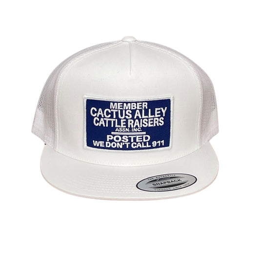 "POSTED" - 6006 White/ White Mesh, Snapback Cap (WESA JAN 2024)