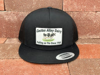 "Dairy" - 6006 Black/ Black Mesh, Snapback Cap (2024)